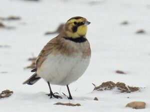 1000024423 (1)~3.jpg