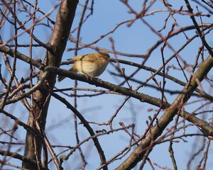 DSCN9446m.jpg