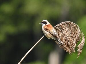 RSCN0063~2.jpg
