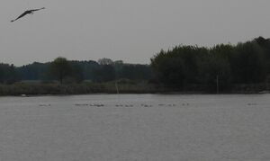 DSCN9978m.jpg