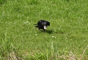 DSCN9739m1.jpg