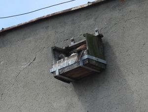 DSCN3001m.jpg