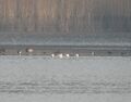 Miniatura wersji z 08:46, 25 mar 2026