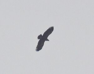 1000019422.jpg