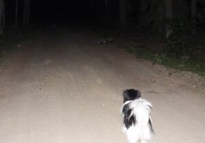 DSCN7931m2.jpg