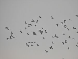 1000023119.jpg