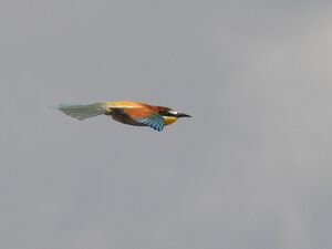 RSCN9749~4.jpg