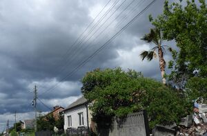 DSCN7995m1.jpg