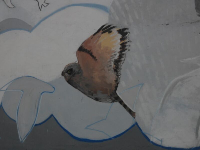 Plik:DSCN3573m.jpg