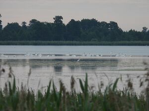 DSCN7532m2.jpg