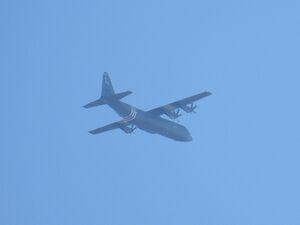 RSCN9737.jpg